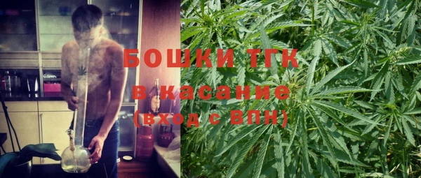 PSILOCYBIN Абдулино