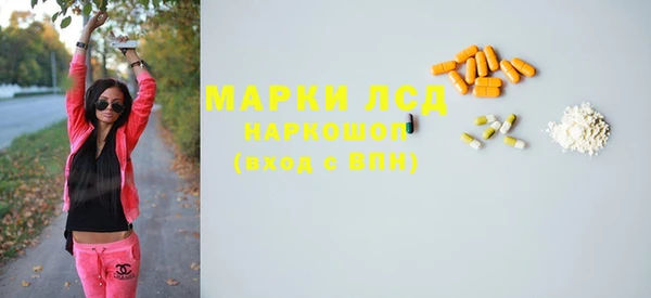 спайс Гусь-Хрустальный