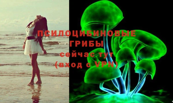 метадон Алексин