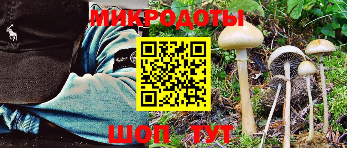 Галлюциногенные грибы Psilocybe  наркота  Вход с VPN  Севастополь  Галлюциногенные грибы мухоморы 